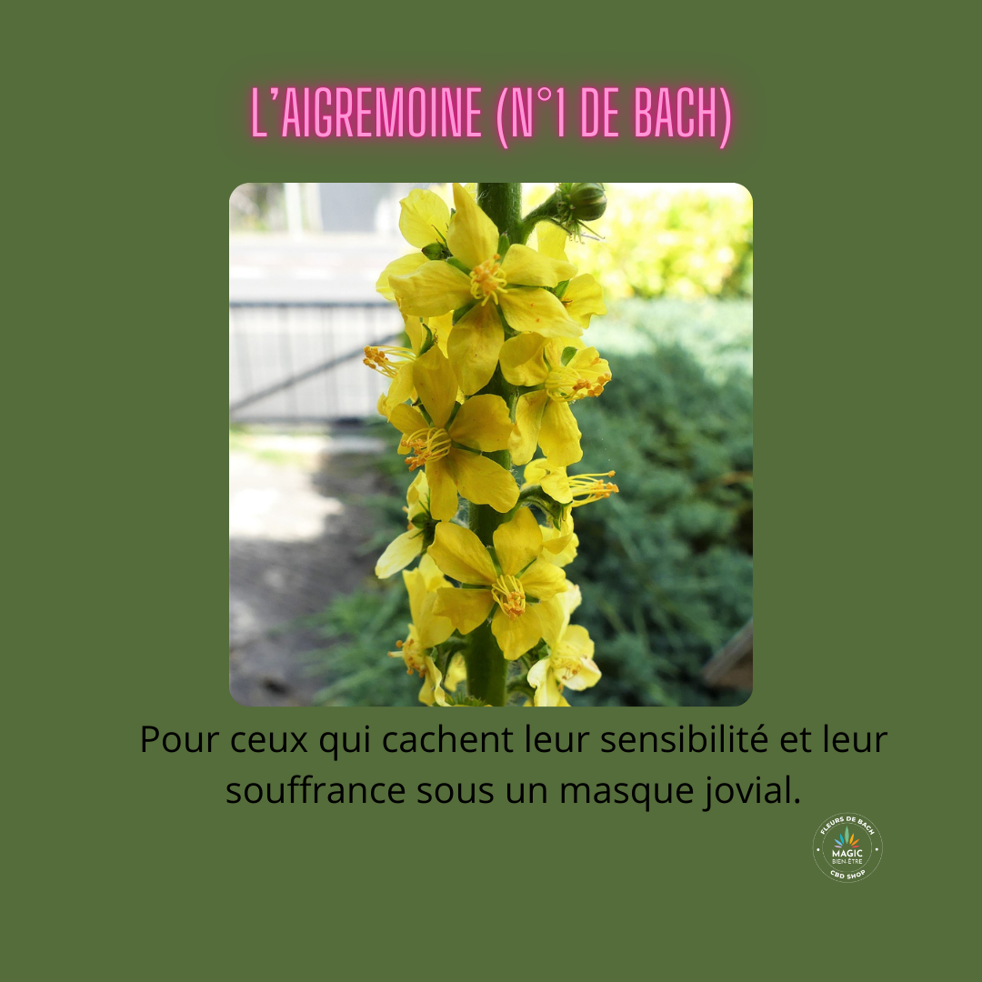 Image de contenu