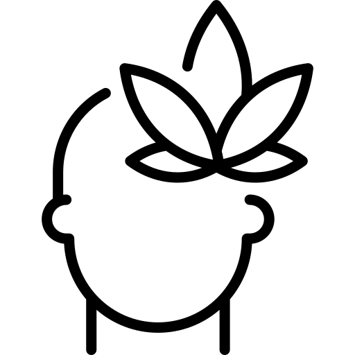 Icône Lotus